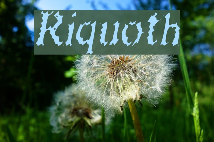 Riquoth Font examples
