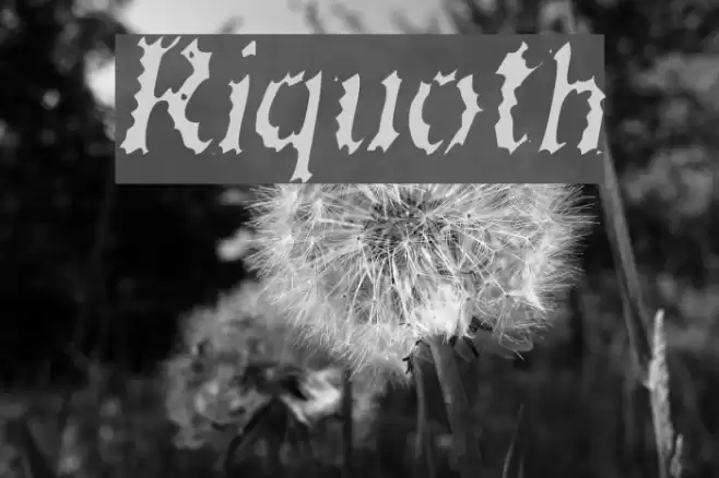 Riquoth Font examples