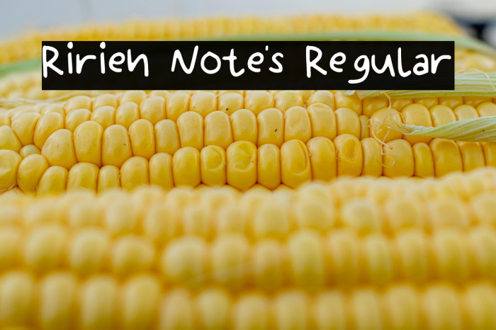 Ririen Note's Regular Example 2