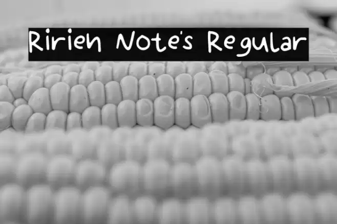 Ririen Note's Regular Font examples