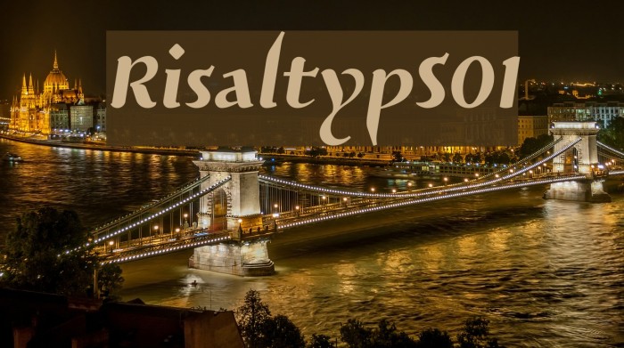 RisaltypS01 لخطوط تنزيل examples