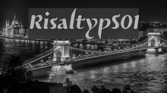 RisaltypS01 Font examples