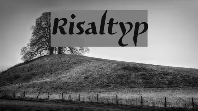 Risaltyp Font examples