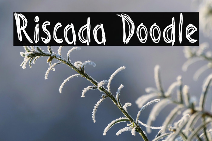 Riscada Doodle Example 1