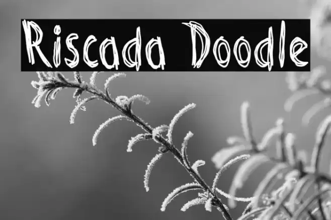 Riscada Doodle Font examples