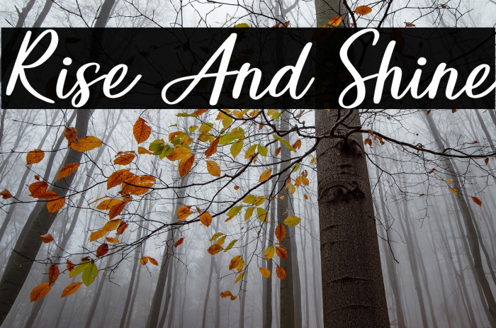 Rise And Shine Example 1