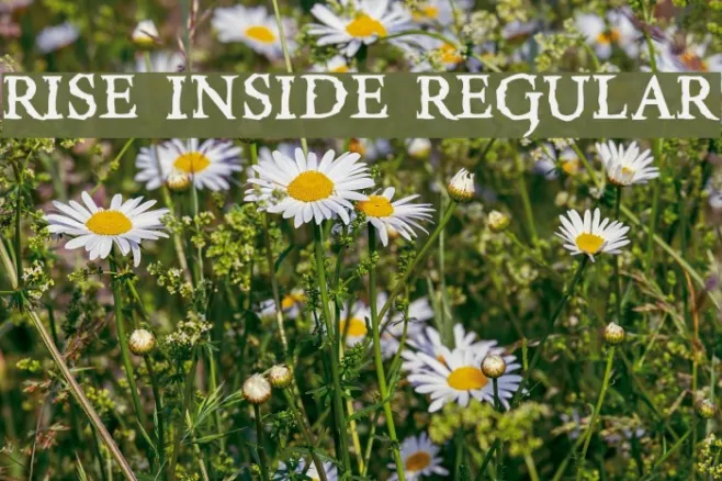 Rise Inside Regular Example 2