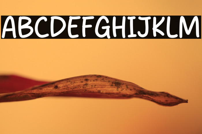 Rise Jeans Example 1