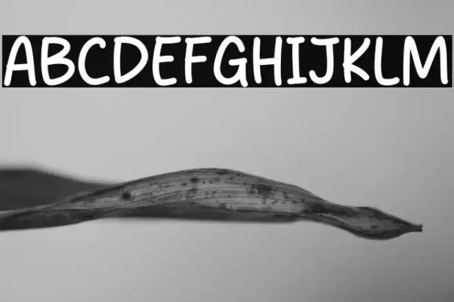 Rise Jeans Polices examples