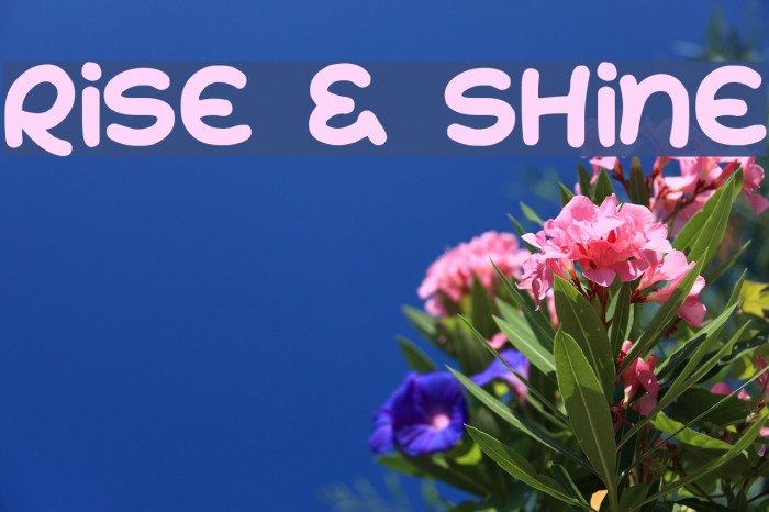 Rise & Shine Schriftart examples