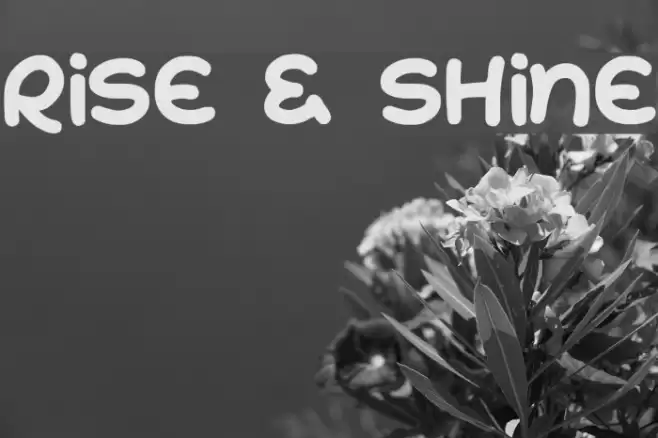 Rise & Shine Font examples
