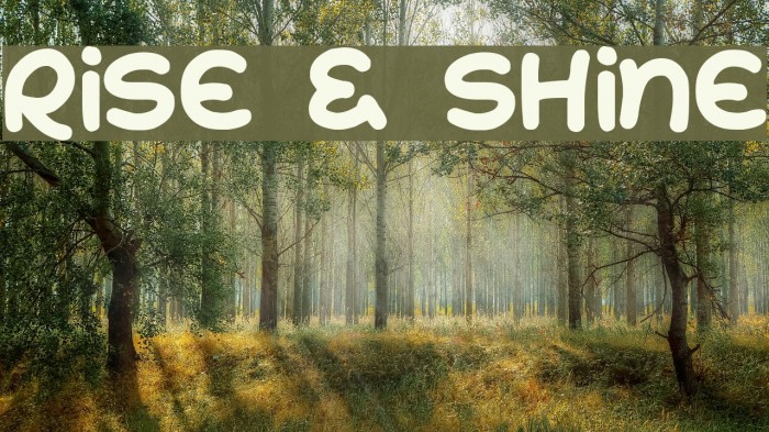 Rise & Shine Schriftart examples