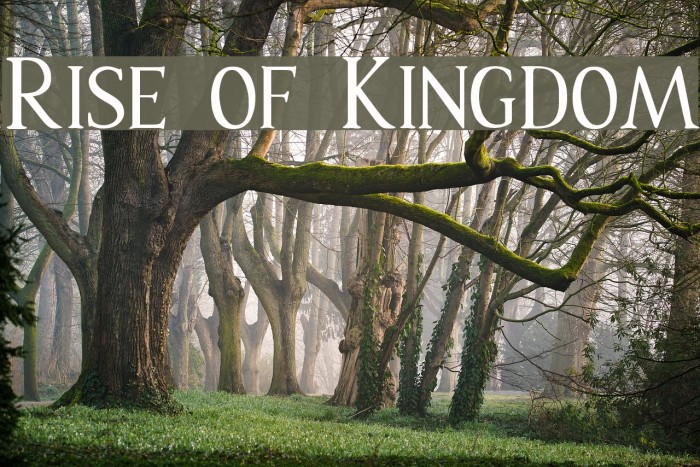 Rise of Kingdom Font examples