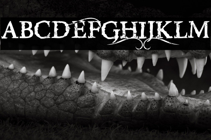 RiseInsidE-Regular Example 2