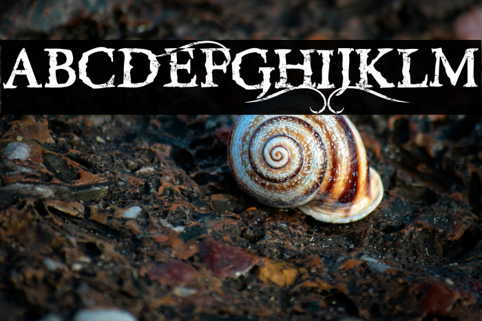 RiseInsidE-Regular Example 3