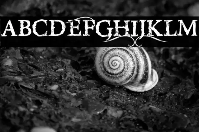 RiseInsidE-Regular Font examples