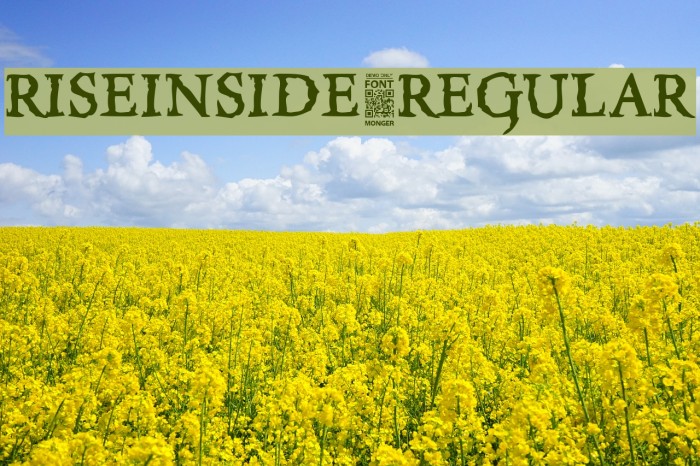 RiseInside-Regular Font examples