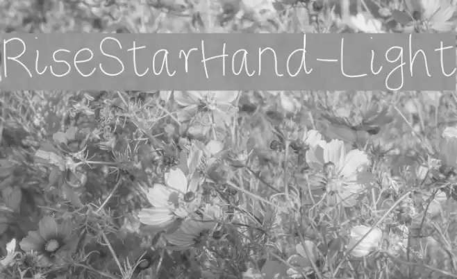 RiseStarHand-Light Шрифта examples