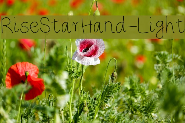 RiseStarHand-Light Шрифта examples