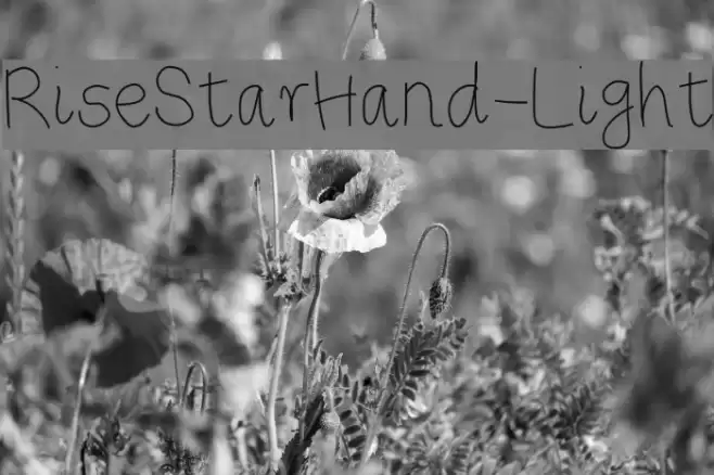 RiseStarHand-Light Шрифта examples