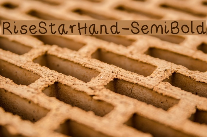 RiseStarHand-SemiBold Font examples