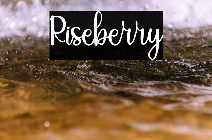 Riseberry Example 1