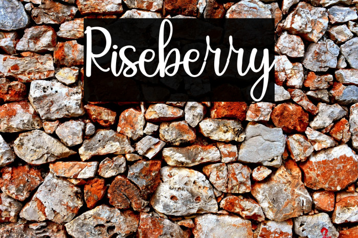 Riseberry Example 3