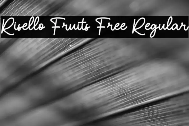 Risello Fruits Free Regular Font examples