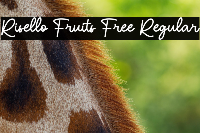 Risello Fruits Free Regular Example 3