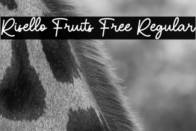 Risello Fruits Free Regular Font examples