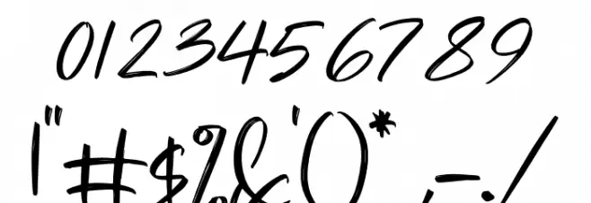 Risess Singature Font OTHER CHARS