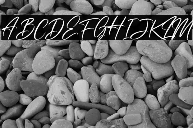 Risess Singature Font examples