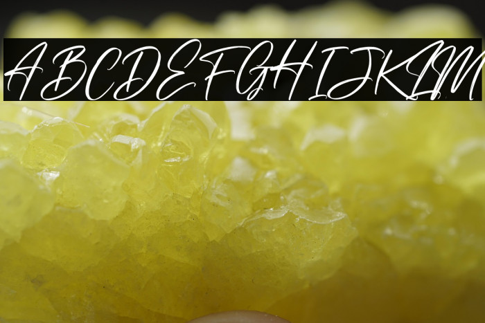 Risess Singature Example 3