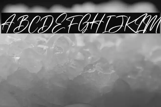 Risess Singature Font examples