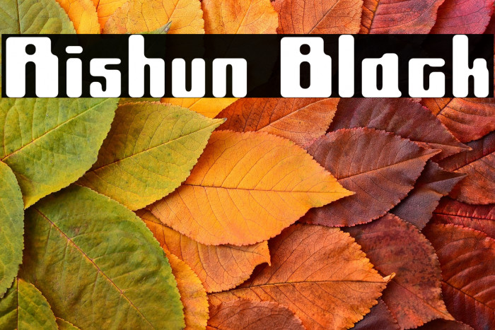Rishun Black Example 1