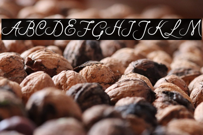 RiskaScript Example 1