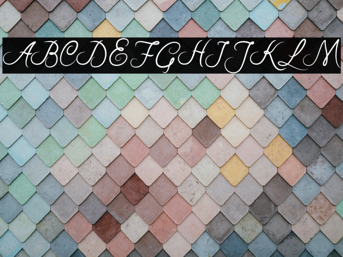 RiskaScript Example 3