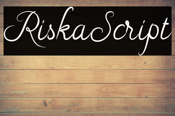 RiskaScript Example 1