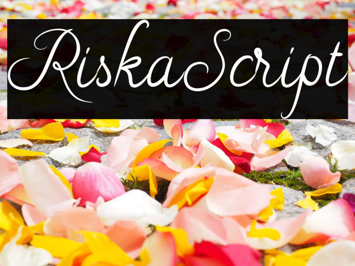 RiskaScript Example 2