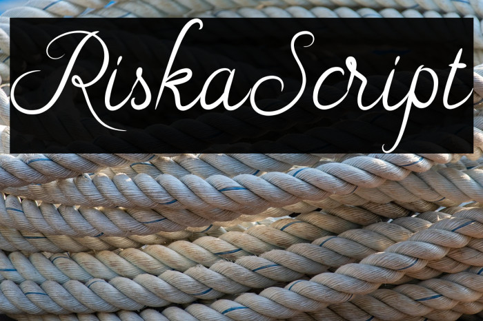 RiskaScript Example 3