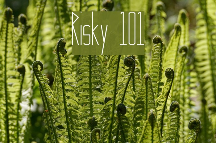 Risky 101 Font examples