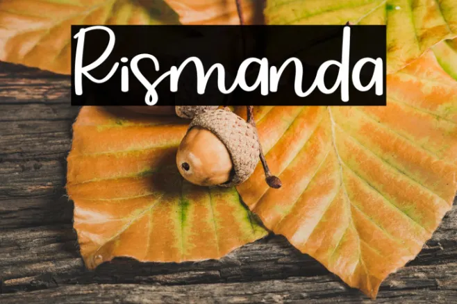 Rismanda Example 2
