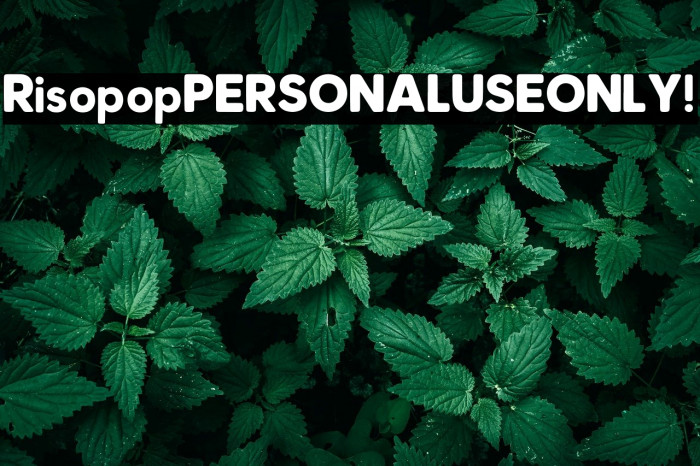 Risopop PERSONAL USE ONLY! Example 3