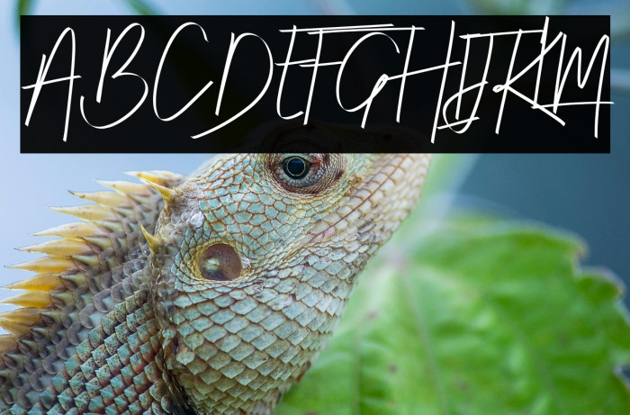 Risotto  Demo Example 1