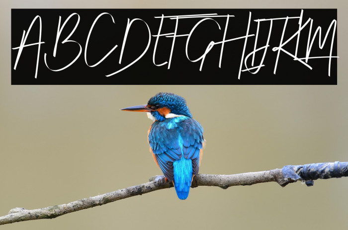 Risotto  Demo Example 2