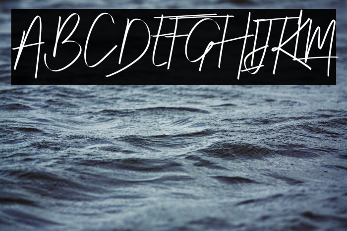 Risotto  Demo Example 3