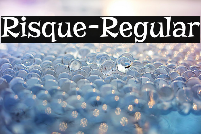 Risque-Regular Example 2