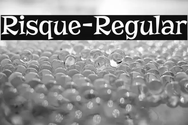 Risque-Regular Font examples