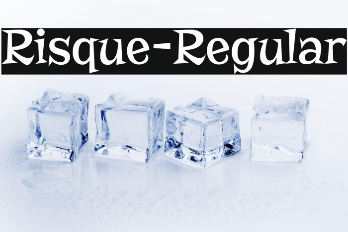 Risque-Regular Example 3