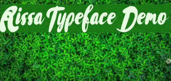 Rissa Typeface Demo フォント examples